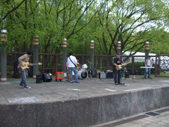 48108213_3080175302s.jpg