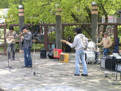 48111991_1399071945s.jpg