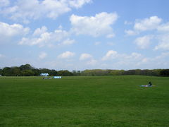 48111991_306910116s.jpg