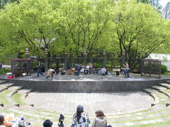 48111991_1680384429s.jpg